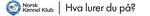 Logo: Hva lurer du på?