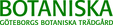 Logotyp: Botaniska Trädgården